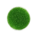 Vue macro de perles de rocaille en verre vert herbe de 2 mm pour la création de bijoux - 1800 Pièces/Paquet (2mm/18g) / Vert Herbe Transparent