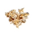 Macro shot of irregular gold and silver nail art foil flakes with reflective texture - 2g Pack / Gold Foil Gold