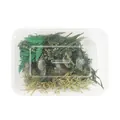 Mélange de fleurs séchées dans une boîte de rangement en PP avec poignée - 1 boîte / Série de Fleurs Séchées Vertes