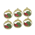 Detailed view of six gold-plated enamel watermelon pendants with engraved art lettering - Watermelon