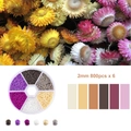 Makroansicht von 2mm Glasperlen in einer 6-Fächer-Box für DIY-Schmuckherstellung - Boxed / Strahlende Chrysantheme