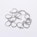 Macro view of polished silver stainless steel leverback ear wires for DIY jewelry making - 15*10mm (20 Pieces/Pack) / Steel