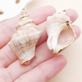 Ciondoli di conchiglia naturale placcati in oro con anelli metallici tenuti in mano - Stile Di Conchiglia Con Textura a Spirale (25312) / 1 Pezzo/Confezione (24x13mm) / Oro