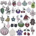 DIY colorful alloy drip oil charms set featuring assorted stars, hearts and animal designs - Assorted 30 Styles (SN1101) / 30Pcs Pack