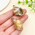 Detail of laser-plated acrylic shell pendant with gold edges for DIY jewelry making - Laser Plated Gold Beige Ocean Conch (23623)
