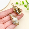 Detailed close-up of acrylic shell pendants with golden electroplated metal edges - Laser Plated Gold Beige Ocean Conch (23622)