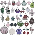 DIY colorful alloy enamel charms with floral and bow designs for bracelets and necklaces - SN1101-Silver Enamel 30 Styles Set