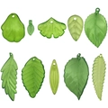 Set de dijes de hojas de acrílico verde en varias formas para bisutería DIY - Colección de Hojas Verde Claro (SN1115)