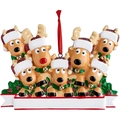 Close-up of seven reindeer resin ornaments with red hats and blank banner for names - Family Printed Style F
