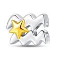 Ciondolo Acquario in argento con stella dorata per bracciali e collane fai-da-te - Acquario (PAC865-11)