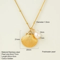 Collana dorata in acciaio inossidabile con ciondolo a conchiglia e perla d'acqua dolce - Stile Conchiglia (1900)