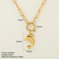 Gouden roestvrijstalen paperclip ketting met dolfijn hanger en handige veersluiting - Dolfijn / Goud