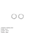 Classic silver 2mm thick stainless steel hoop earrings with 12mm diameter dimensions - 12mm / Steel