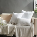 Three-piece set of white soft throw pillow inserts on a modern sofa with cozy blanket - 35x55cm / Brushed High Elastic Core