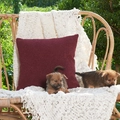 Bordeauxrode chenille kussenhoes met textuur op een rustieke geweven stoel buiten - 45x45 / Met Vulling / Bordeauxrood