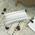 Boho style rectangular cotton canvas lumbar pillow cover with black tassels and geometric patterns - Geometric Lines (Lumbar) / 30x50cm (With 350g Core)
