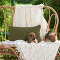 Olive green velvet rectangular cushion cover with textured finish on a rattan bench - 30x50 / Moss Green Chenille