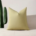 Modern saliegroen vierkant kussen op een witte bank met een minimalistische kamerplant - 30x50 (Alleen Hoes) / Grasgroen Effen