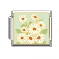 Italian modular charm in stainless steel featuring light green enamel daisy flowers - White Daisy Green Base (13)