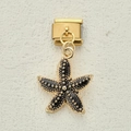 Italian modular charm featuring a black enamel starfish with gold details and plating - Black Starfish