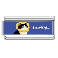 Charm per bracciale italiano con gatto bianco e nero e scritta LUCKY su blu - Stile Gatto LUCKY (11)