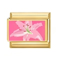 Italian style charm for modular bracelet featuring pink lily flower on gold-plated base - Pink Lily Flower Style (20)