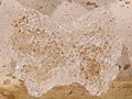 Champagne crystal bow bead with honey-combed texture for DIY jewelry and phone chains - Camel