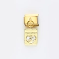 Golden stainless steel Italian charm featuring a Passport heart travel design - White Earth Passport(13)