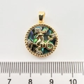 Makroaufnahme von 20mm Steinbock-Anhänger mit Abalone-Muschel und Gold-Seilstruktur - Steinbock Abalone-Schale