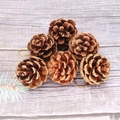 6er-Set natürliche braune Tannenzapfen-Anhänger mit goldenen Schnüren für Weihnachtsdeko - 5cm