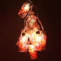 Catena luminosa natalizia a LED con bottiglie colorate per decorazioni festive di interni - 2 batterie AA / Rosa