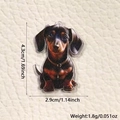 Detail view of acrylic dachshund charm showing dimensions 4.3x2.9cm and 1.8g weight - Dachshund