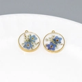 Vue macro de breloques rondes en résine avec myosotis bleus séchés et bordure dorée - Myosotis Bordé d'Or