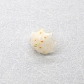 Mini ciondolo a ombrello in acrilico trasparente con fiori arancioni e anello d'oro - Ombrello Floreale Trasparente