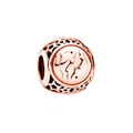 Pisces constellation charm bead in rose gold finish with hollow star patterns - Pisces - Rose Gold