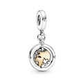 Detailed macro view of two-tone spinning globe charm with silver frame and gold land accents - Spinning Globe Two-Tone Dangle (#15)