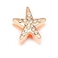 Stern-Charm in Roségold mit Kristallen für DIY-Edelstahlarmbänder Zubehör - Stern Strass (31)