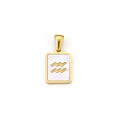 Golden rectangular Aquarius zodiac pendant with iridescent white shell inlay for DIY jewelry - Gold Aquarius Zodiac