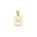 Gold plated stainless steel rectangular Pisces zodiac charm with iridescent inlay - Gold Pisces Zodiac