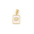 Golden square Cancer zodiac pendant with iridescent white shell inlay and metal charm - Gold Cancer Zodiac