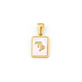 Gold-plated rectangular Capricorn zodiac pendant with iridescent shell inlay and bail - Gold Capricorn Zodiac