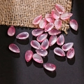 Pink translucent teardrop glass petals for DIY traditional hairpins and jewelry - 20 Pieces Set / White Jade Nutmeg