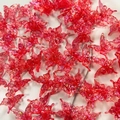 Pink iridescent resin butterfly charms for DIY hair accessories and jewelry pendants - 25.5*24*10mm / Red