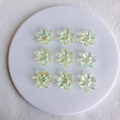 Detailed view of iridescent aurora acrylic flower charms for DIY jewelry making - 21x6mm / Light Green Small