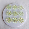 Detail of aurora acrylic flower charms for jewelry making with iridescent finish - 33x6mm / Light Green Medium