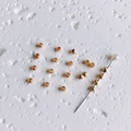 Detail of 14K gold-filled faceted round beads for DIY jewelry making and necklace crafts - Gold 3mm