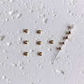 Gros plan de perles d'espacement remplies d'or 14K sur une épingle avec fini lisse - 100 perles / 3mm