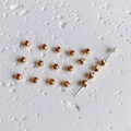 Close-up of 14K gold filled textured and smooth spacer beads for DIY jewelry making - Gold 4mm