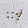 Détail de perles d'espacement soucoupes en or 14K pour accessoires de bijoux DIY - 100 perles / 4mm