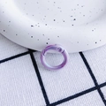 Irillerende paarse ronde veerring karabijnhaak voor DIY-sieraden en sleutelhanger maken - Aurora Paars (20mm)